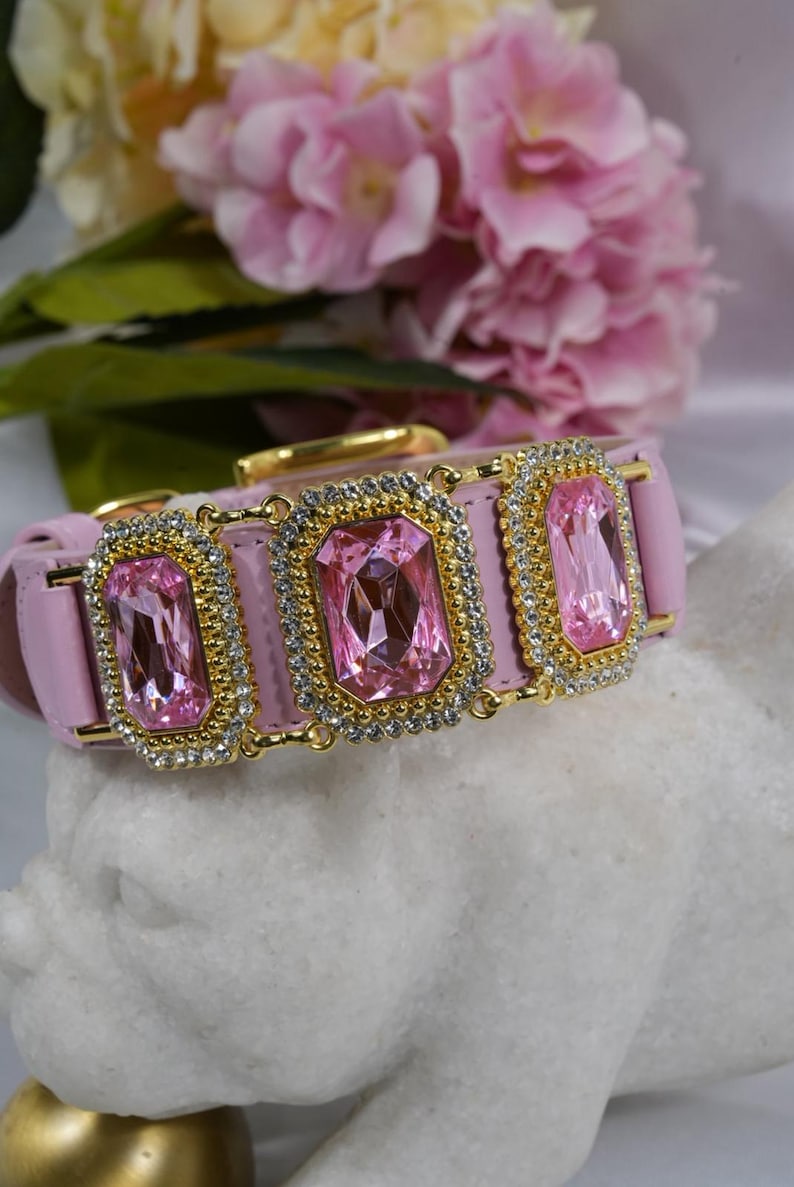 Op de afbeelding: Roze hondenhalsband met gouden accenten en drie grote, rechthoekige roze edelstenen. De edelstenen zijn omgeven door een rand van kleine, heldere kristallen. De achtergrond toont roze bloemen.
