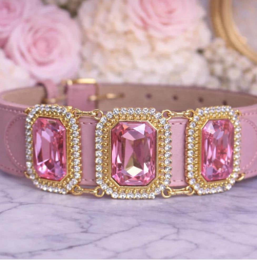 Prada dog collars - Etsy sterreich