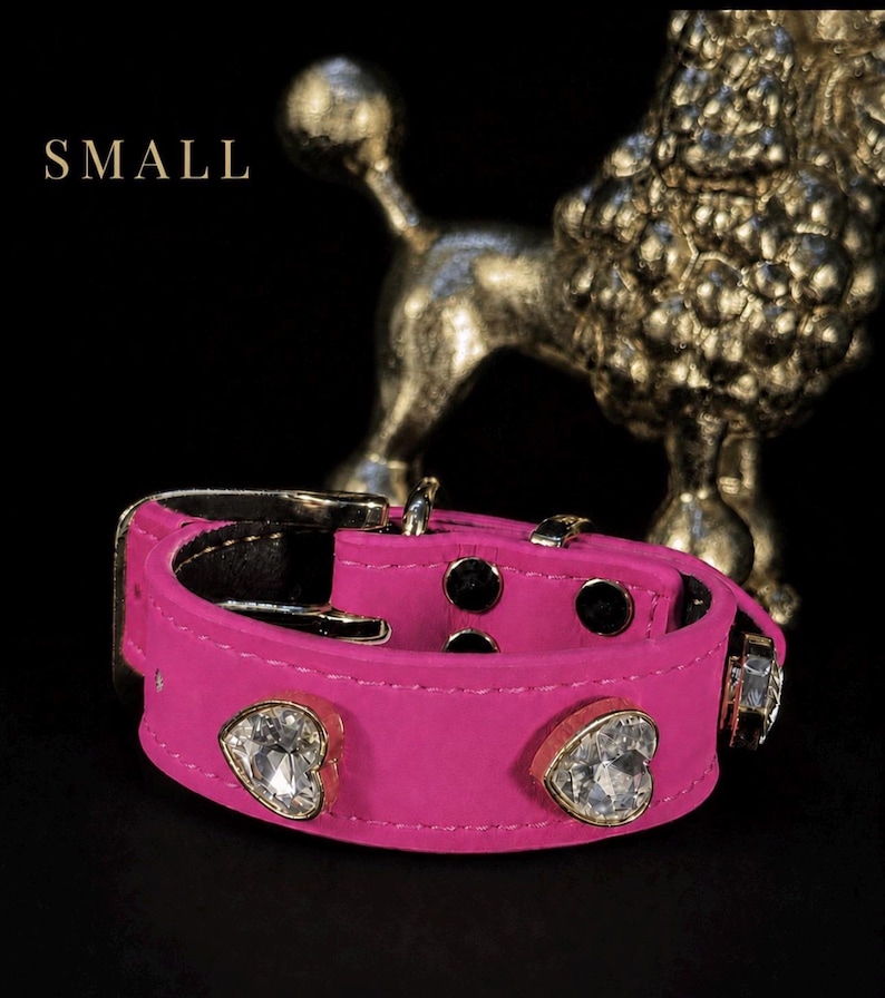 Puede incluir: Un collar de color rosa brillante con una hebilla plateada y dos adornos de cristal transparente en forma de coraz&oacute;n sujetos con monturas met&aacute;licas. La palabra SMALL est&aacute; impresa en blanco sobre el collar, situado frente a una figura dorada.