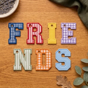 Op de afbeelding: Zeven individuele stoffen letters die het woord FRIENDS vormen. Elke letter heeft een uniek patroon of een effen kleur, waaronder blauwe vichy-ruitjes, rode strepen, effen geel, paarse vichy-ruitjes, groene strepen, oranje vichy-ruitjes en effen lichtblauw.