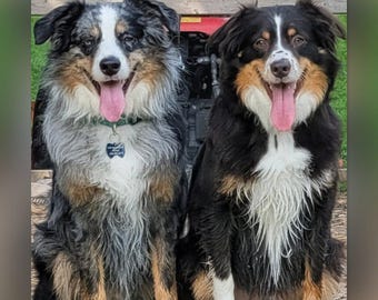 Custom Pet Portrait Canvas | Personalized Dog Cat Photo Memorial Wall Art