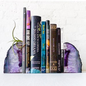 Air Plant Planetary Purple Book Ends Crystal Bookends Air Plant Garden Agate Geodes Set of Two Unique Home Decor Planter image 1