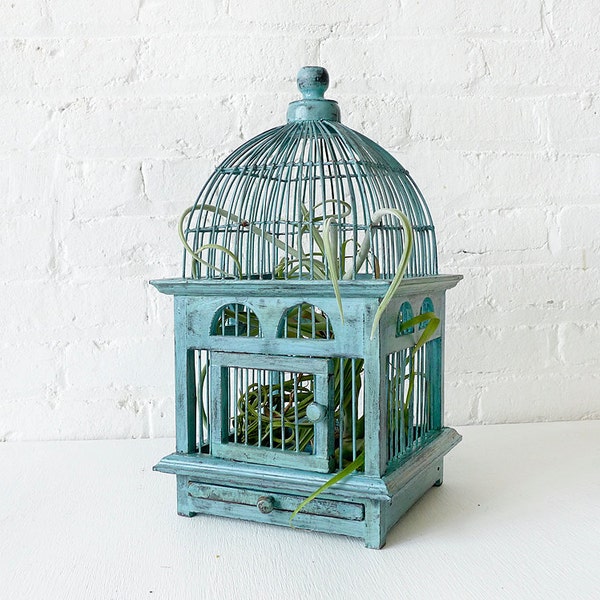 Air Plant in Blue Bird Cage - Distressed Teak LIVE Garden