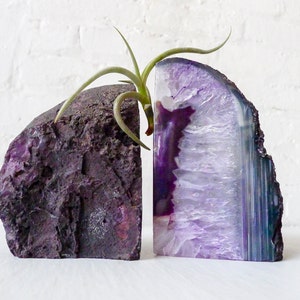 Air Plant Planetary Purple Book Ends Crystal Bookends Air Plant Garden Agate Geodes Set of Two Unique Home Decor Planter image 5