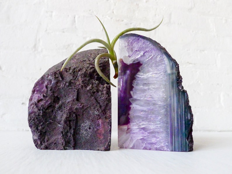 Air Plant Planetary Purple Book Ends Crystal Bookends Air Plant Garden Agate Geodes Set of Two Unique Home Decor Planter image 5