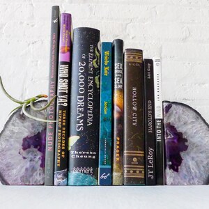 Air Plant Planetary Purple Book Ends Crystal Bookends Air Plant Garden Agate Geodes Set of Two Unique Home Decor Planter image 3