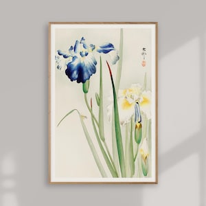 Japanese Iris Flower Print – Ohara Koson Botanical Wall Art, Vintage Floral Poster, Shin Hanga Nature Artwork, Japandi Home Decor