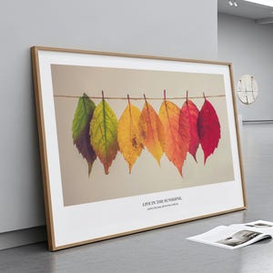 Puede incluir: Un cuadro enmarcado con una fila de hojas de oto&ntilde;o coloridas colgadas de una cuerda. Las hojas van del verde al amarillo, naranja y rojo. El cuadro tiene un borde blanco y un marco de madera. El texto dice: "LIVE IN THE SUNSHINE."