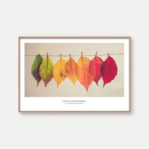 Puede incluir: Una impresi&oacute;n enmarcada que muestra una fila de hojas de oto&ntilde;o coloridas colgadas de una cuerda. Las hojas cambian de color de verde a amarillo, naranja y rojo. El texto en la parte inferior dice: "LIVE IN THE SUNSHINE. swim the sea, drink the wild air."
