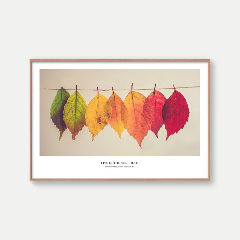 Puede incluir: Una impresi&oacute;n enmarcada que muestra una fila de hojas de oto&ntilde;o coloridas colgadas de una cuerda. Las hojas cambian de color de verde a amarillo, naranja y rojo. El texto en la parte inferior dice: "LIVE IN THE SUNSHINE. swim the sea, drink the wild air."