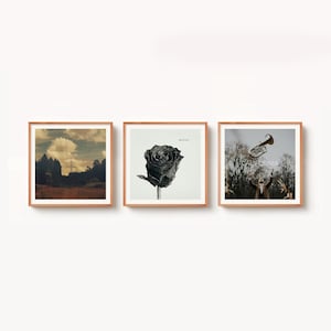 May include: Set of three framed art prints. The first print features a landscape with a cloudy sky and power lines. The second print is a black and white rose. The third print shows a person playing a trumpet with the word "CALIFORNIA" above.