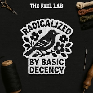 Radicalized by Basic Decency Patch, Protest Liberal Leftist Democracy Human Rights Patches Applique for Clothes Hats Backpacks Jeans