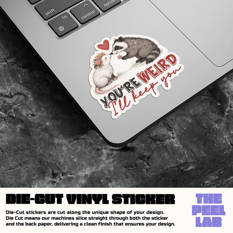 May include: A die-cut vinyl sticker with a raccoon and opossum design and the text "YOU'RE WEIRD I'll keep you." The raccoon is grey and black, and the opossum is white with a floral crown. A red heart is above them.