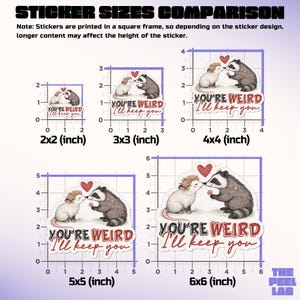 May include: A sticker size comparison chart displays five square stickers featuring a raccoon and opossum design, a heart, and the text "YOU'RE WEIRD I'LL KEEP YOU." Sizes vary from 5 cm x 5 cm to 15 cm x 15 cm. The text "STICKER SIZES COMPARISON" is at the top.