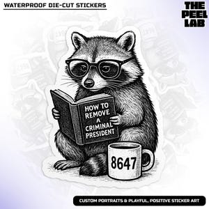 How To Remove a Criminal President Sticker, Subtle FDT 8647, Raccoon Meme, Democrat Protest Waterproof Vinyl Water Bottle, Laptop Sticker