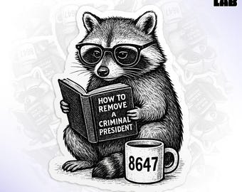 How To Remove a Criminal President Sticker, Subtle FDT 8647, Raccoon Meme, Democrat Protest Waterproof Vinyl Water Bottle, Laptop Sticker