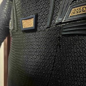 May include: Close-up of a black costume with a textured, scale-like pattern. The costume features dark blue accents and gold-colored decorative elements. A small, rectangular emblem with a gold design is visible.