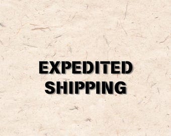 Handmade Cosplay Suit Expedited for Adult