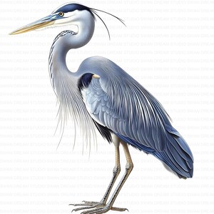 124 mooie reiger clipart bundel afdrukbare hoge kwaliteit jpg-kaart maken papier ambachtelijke ongewenste dagboek scrapbooking digitale download illustraties