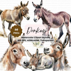 98 Donkey Watercolor Clipart Bundle Printable High Quality PNG Card Making Paper Craft Junk Journal Scrapbooking Digital Download Clip Art