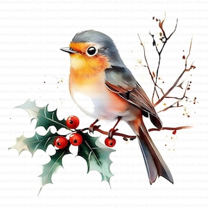 144 Robin Bird on Tree Branch Clipart Bundle Printable High Quality JPG Card Making Paper Craft Junk Journal Scrapbooking Digital Download