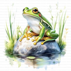 115 Green Frog Toad Clipart Bundle Printable High Quality JPG Card Making Paper Craft Junk Journal Scrapbooking Digital Download Clip Art