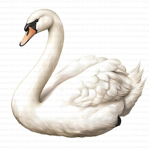 121 élégant cygne blanc Clipart Bundle imprimable haute qualité JPG fabrication de cartes papier artisanat Junk Journal Scrapbooking téléchargement numérique Clip Art