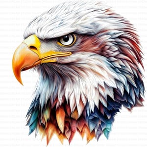 123 Bald Eagle Clipart Bundle Printable High Quality JPG Card Making Paper Craft Art Junk Journal Scrapbooking Digital Download Clip Art