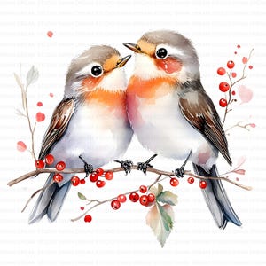 Paquete de 147 imágenes prediseñadas de acuarela de amor de petirrojo navideño para imprimir en alta calidad en formato JPG, para hacer tarjetas, manualidades de papel, diario basura, álbum de recortes, descarga digital