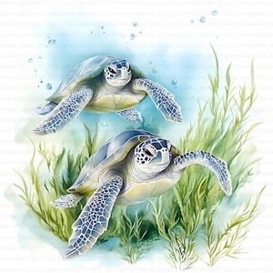 116 Sea Turtle Marine Turtle Watercolor Clipart Printable High Quality JPG Card Making Paper Craft Junk Journal Scrapbook Digital Download