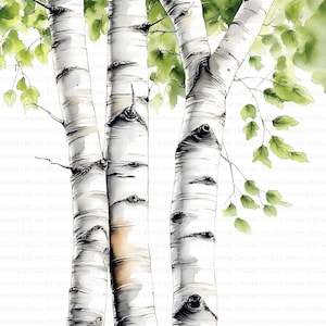 112 Nahaufnahme Birken Baumstämme Clipart Bundle druckbare hochwertige JPG Karte Papier Handwerk Junk Journal Scrapbooking Digital Download