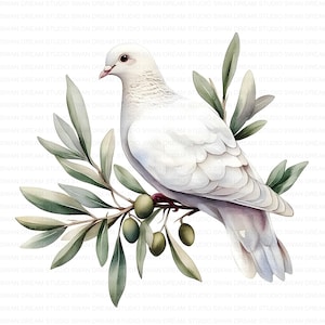 Paquete de 121 imágenes prediseñadas de acuarela de paloma blanca de la paz, imprimibles en alta calidad, JPG, para hacer tarjetas, manualidades de papel, diario basura, álbumes de recortes, descarga digital