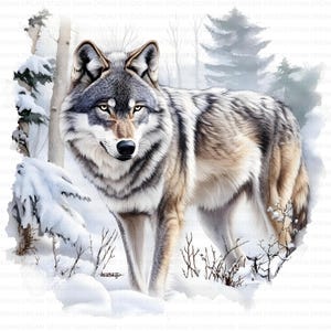 Bundle de cliparts aquarelle loup hivernal imprimable haute qualité JPG fabrication de cartes papier artisanat art indésirable Journal Scrapbooking téléchargement numérique