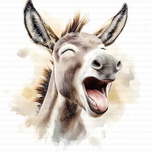 152 grappige ezel lachen aquarel clipart bundel afdrukbare hoge kwaliteit JPG kaart maken papier ambachtelijke ongewenste dagboek scrapbook digitale download