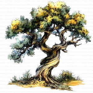 160 Clipart di alberi mitici Clipart di quercia Clipart di acquerello stampabile JPG Creazione di biglietti Carta artigianale Diario di spazzatura Album download digitale