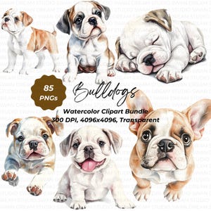 85 Bulldog Dog Clipart Bundle Printable High Quality PNG Card Making Paper Craft Art Junk Journal Scrapbooking Digital Download Clip Art