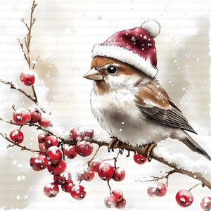 122 hiver moineau oiseau Noël Clipart Bundle imprimable haute qualité JPG fabrication de cartes papier artisanat Junk Journal Scrapbooking téléchargement numérique