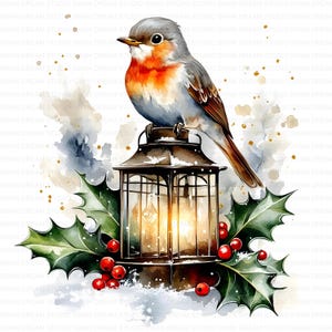 Bundle de cliparts Noël rouge-gorge oiseau neige imprimable haute qualité JPG fabrication de cartes papier artisanat Junk Journal Scrapbooking téléchargement numérique