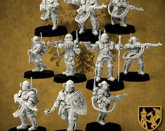 Könnte beinhalten: Eine Sammlung von Miniaturfiguren gepanzerter Soldaten, jede auf einem schwarzen Sockel. Die Figuren befinden sich in verschiedenen Aktionsposen und halten Waffen und Schilde. Das Farbschema ist hellgrau, mit Details, die auf futuristische oder Fantasy-Elemente hindeuten. Das Golden Dragon-Logo befindet sich unten rechts.
