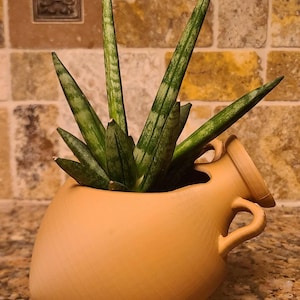 May include: A potted snake plant with long, upright, green and white striped leaves. The plant is in a terracotta-colored ceramic pot with a unique, curved shape and two small handles. The pot sits on a speckled countertop.