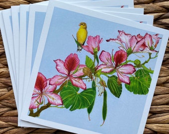 Card Set: Finch and Flowery Tree”