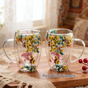 Dubbelväggig glasmugg med torkade blommor och handtag, värmebeständig borosilikatkopp för kaffe och te, klar mjölk och juice, presentförpackning