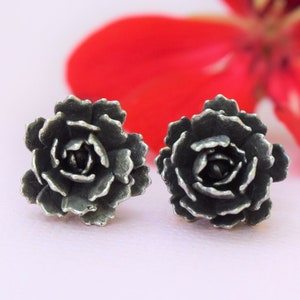Plant Jewelry, Succulent Earrings in Sterling, Sterling Silver, Silver Real Succulent Stud Earrings
