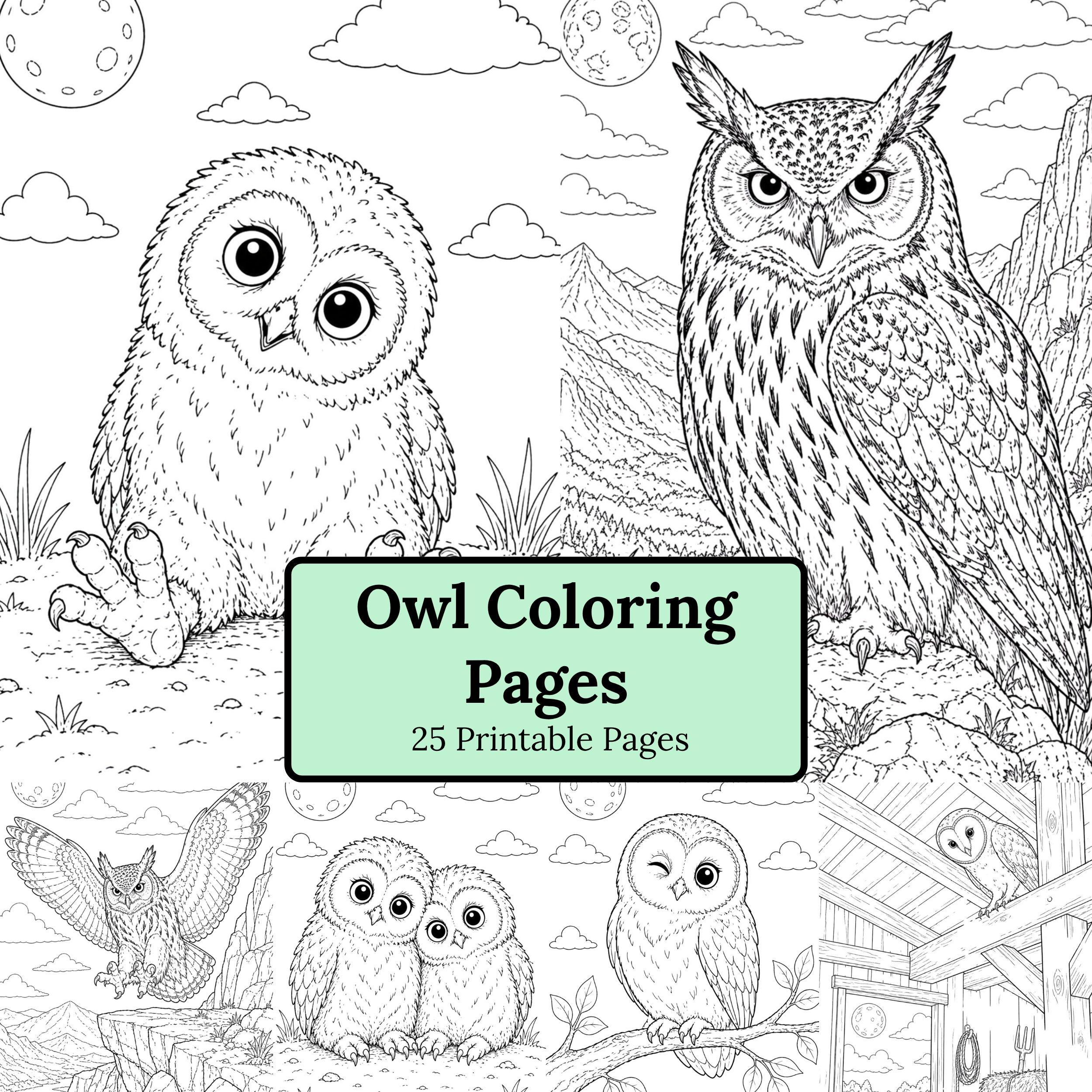 Owl Coloring Pages Printable | Baby Owls & Realistic Owls | A4 Adult and Kids  | Instant Downloa