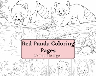 Pagine da colorare del panda rosso / 20 fogli da colorare stampabili in PDF