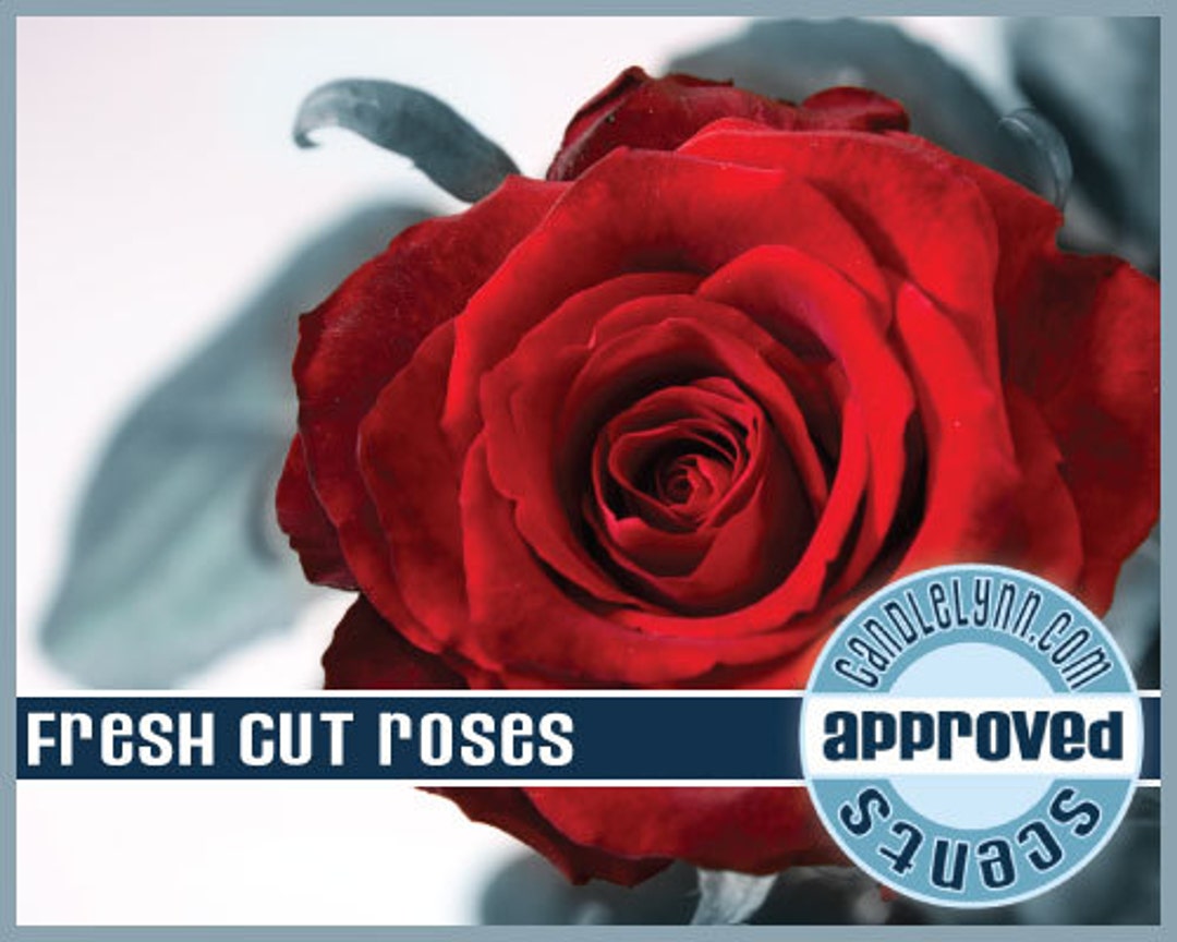 FRESH CUT ROSES Fragrance Oil 1 Oz Etsy