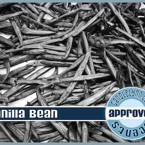 VANILLA BEAN Fragrance  Oil, 1 oz