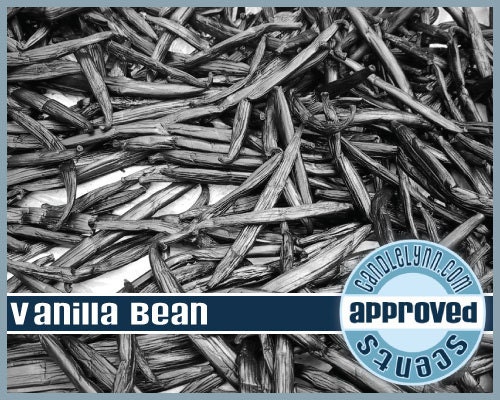 VANILLA BEAN Fragrance  Oil, 1 oz