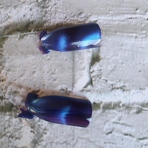 May include: Two nail polish swatches on clear plastic sticks, each featuring a deep, metallic blue and purple color-shifting finish with a prominent, shimmering diagonal streak that catches the light, creating a multi-dimensional effect.