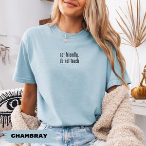 Not Friendly Do Not Touch Shirt, Funny Humor Shirt, Adult Humor Shirt, Sarcasm Shirt, Funny Trendy Shirt, Sarcastic Comfort Colors® Shirt